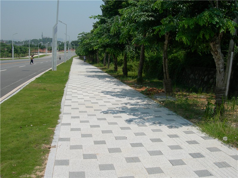 �»��������е�ש